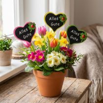 Artikel Stecker Herz mit Schrift "Alles Gute" 16 St sort.