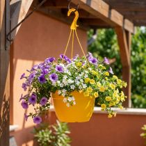 Artikel Blumenampel 25cm Gelb
