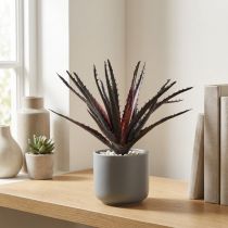 Artikel Aloe Vera künstlich Lila 26cm