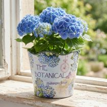 Artikel Übertopf Kunststoff Blumentopf Sommer Hortensien Ø16,5cm H13,5cm
