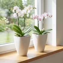 Artikel Eleganter weißer Orchideentopf aus Kunststoff mit Drainage, 16,5 cm Höhe, 2 Stück