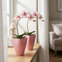 Artikel Orchideen Blumentöpfe Plastik Pink 16,5cm 2er-Set für stilvolle Dekoration