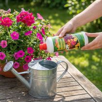Artikel Combiflor Blumendünger 1 l