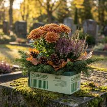 Artikel Nass Steckschaum für Frischblumen Steckmasse Gestecke Ziegel