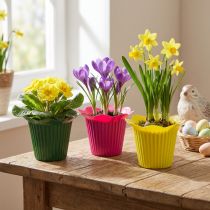 Artikel Plastiktopf Blüte Ø10,5cm 25 St