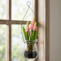 Artikel Traubenhyazinthe künstlich Rosa im Glas 16cm