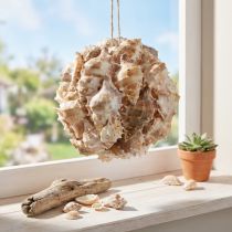 Artikel Deko Kugel Schneckenhäuser Muscheln Deko hängend Natur Ø12cm