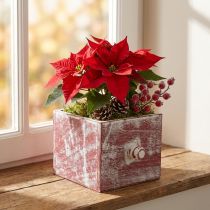 Artikel Pflanzkasten Holz Deko Schublade Shabby Chic Rot Weiß 12cm