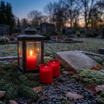 Artikel Rote Nachfüllkerze für Grablicht Nachfülleinsatz Grablampen 20 Stück - Sicherheitsbrenndauer 18h