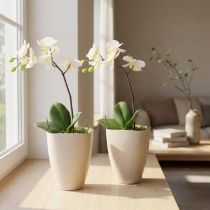 Artikel Orchideentopf Plastik Beige Meliert mit Drainage 13,5x13cm H16,5cm 2er-Set