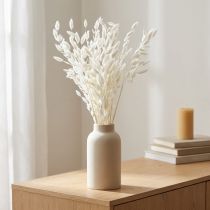 Artikel Elegantes Plattährengras Weiß 70cm - Trockengras Dekoration für Hotel & Gastronomie