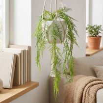 Artikel Künstliche Hängepflanze Asparagus 75 cm für Dekoration und floristische Arrangements