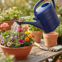 Artikel Gießkanne 10l, Gartenkanne mit Brause, Gartengießkanne Blau