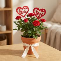 Artikel Blumenstecker Herz Rot Holz Dekostecker Love 7cm 12St