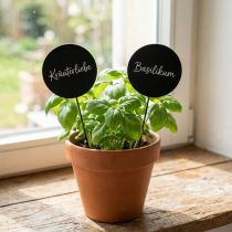Artikel Dekostecker Holz Tafel Rund Schwarz Ø6cm L15cm 12St - Kreative Deko für Blumengestecke und Geschenke