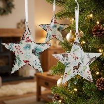 Artikel Weihnachtsschmuck Stern Hirsch Nadelzweige Beeren Ø8cm 6er Set Dekohänger Christbaumschmuck