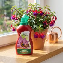 Artikel Chrysal Blühpflanzendünger 500ml