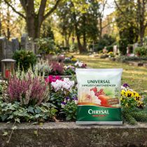 Artikel Chrysal Spezial Dünger 500gr