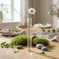 Artikel Reagenzglas Mini Glasvase Blumenröhrchen 100×10mm