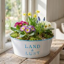 Artikel Blumenschale rund Pflanztopf Weiß Übertopf Metall 25×10cm