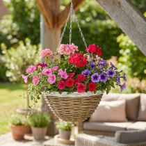 Artikel Schale zum Hängen, Pflanzenampel, Blumenkorb Natur, Weiß Ø30,5cm