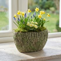 Artikel Übertopf Beton oval Antik-Look Grün, Braun 24×14×13cm