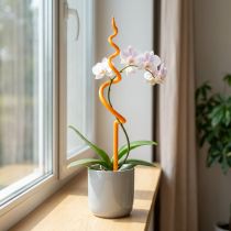 Artikel Orchideenstab Kunststoff Rankhilfe 64cm Einsatzbereich Zimmerpflanzen