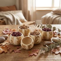 Artikel Kürbis Deko Bell Cup Pumpkin Cup gebleicht 50 St