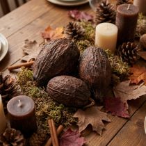 Artikel Kakaofrucht Natur 10-18cm 15St