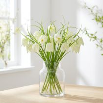 Artikel Schachbrettblumen Fritillaria künstlich Weiß, Grün 40cm 12 St
