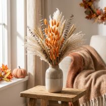 Artikel Lagurus Getrocknet Hasenschwanzgras Apricot Deko-Trockenblumen 55-60cm 50g