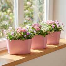 Artikel Pflanzschale oval Pink Dekoschale Kunststoff 20×10×11cm 3St für Floristen & Blumengeschäfte