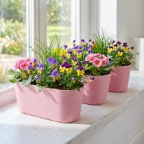 Artikel Pflanzschiffchen Pflanzschale Rosa 27×11×10cm 3er-Set Deko Blumenschale