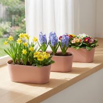 Artikel Pflanzschale oval Dekoschale Kunststoff Rosabraun 27×11×10cm Set für kreative Floristen