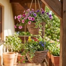 Artikel Hängekorb Blumenampel Holz Ø20/26cm Natürliche Pflanzendekoration