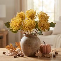 Artikel Protea künstlich Leucospermum Nadelkissen Gelb 30cm, 6 St, Dekoblumen