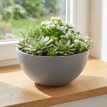 Artikel Pflanzkübel Kunststoff Blumenschale Grau Ø25cm H12cm für Dekorationen