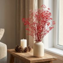 Artikel Gypsophila Trockenblumen Rot 50cm 55g für festliche Deko und Events