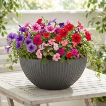 Artikel Pflanzschale Kunststoff Anthrazit Ø35cm H16,5cm für Floristen