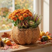 Artikel Pflanzkorb Kürbis mit Folie Herbstdeko Orange Ø18cm H15cm, perfekte Herbst-Dekoration