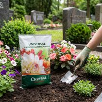 Artikel Chrysal Spezial Dünger 1kg