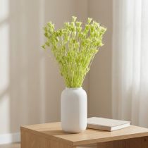 Artikel Trockenblumen Nigella Naturmaterial Deko-Stängel 70cm Innenbereich