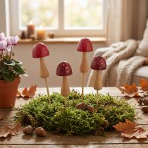 Artikel Blumenstecker Pilz Deko Holz Stecker Rot Ø2,5cm 8 St