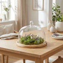 Artikel Glasglocke Holz Teller Deko Käseglocke Ø22cm 16,5cm Vielseitig
