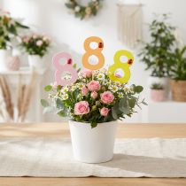 Artikel Jubiläumszahl 8 Holzstecker Party Deko Weiß 7,5cm 16 Stk