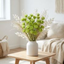 Artikel Trockenblumen Capblumen Hellgrün Strohblumen H42cm