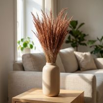 Artikel Rotes Straußgras Agrostis Trockengräser Rotbraun 65cm 80g