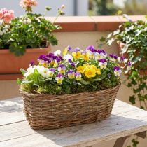Artikel Pflanzkorb Korb Oval Rebe Natur Pflanzschale L30cm