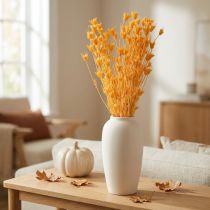 Artikel Nigella Trockenblumen-Arrangement 70cm 50g Innen- und Außendekoration