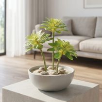 Artikel Sukkulente Kunstpflanze Aeonium Grün 30cm Dekoration 4St Set